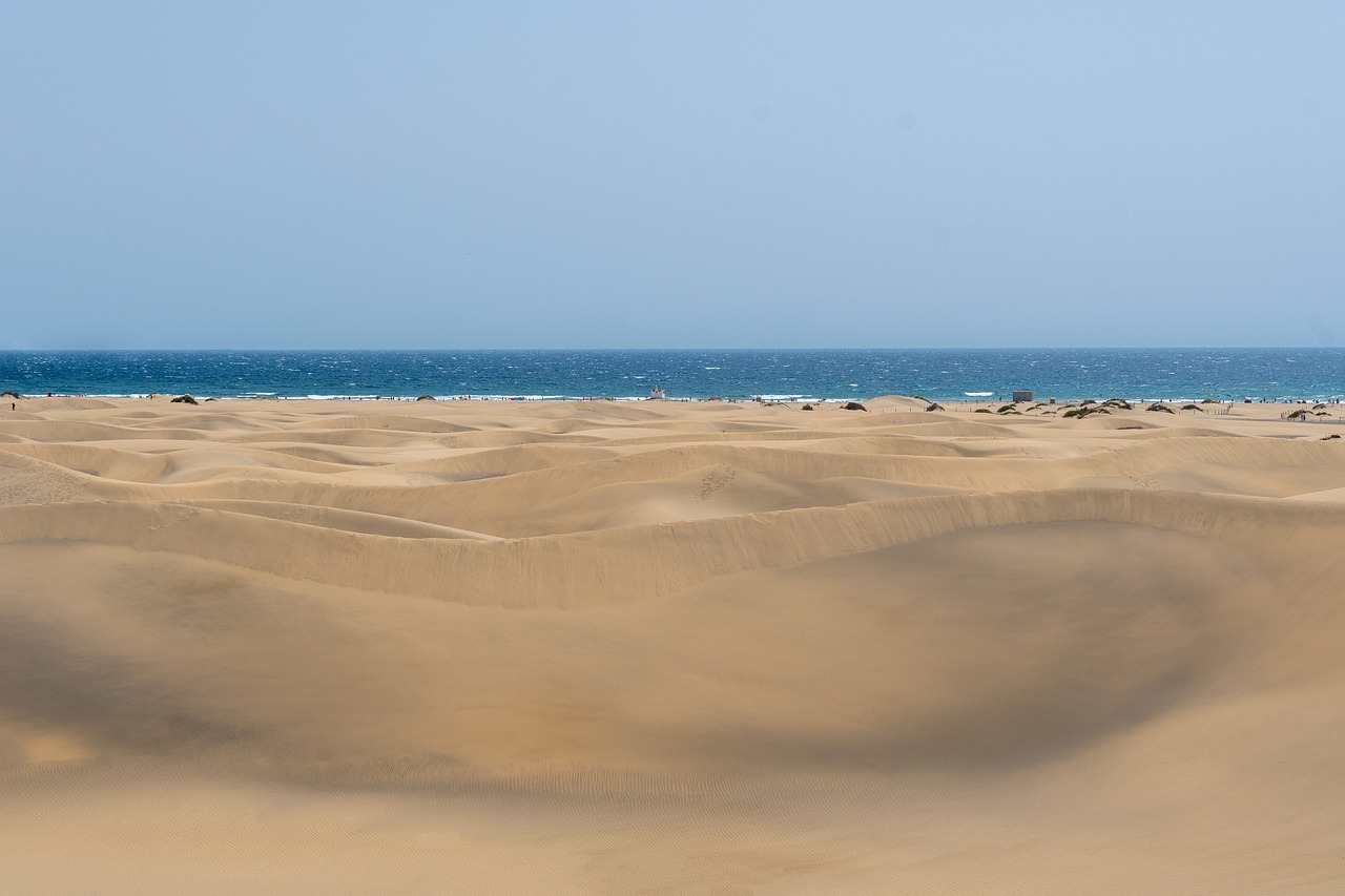 Esplorazione di Gran Canaria in 8 giorni da Maspalomas